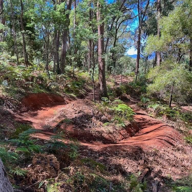 Beautiful sculpted berms on the Indigo Epic Trail
